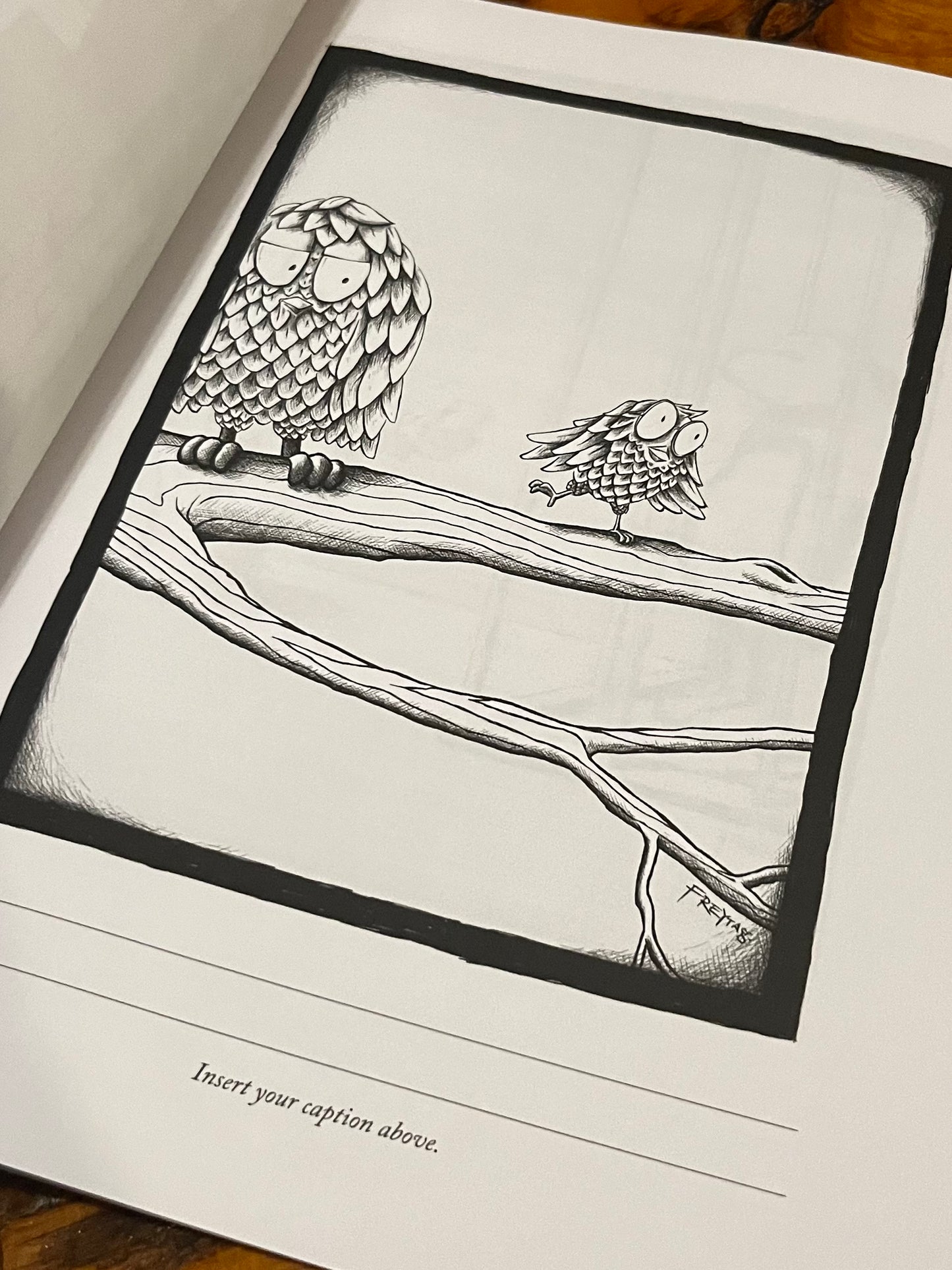 Find Wonder in the Ordinary Coloring Book